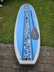 NSP sup 10'2