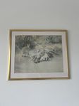 Bruno Liljefors hare poster 