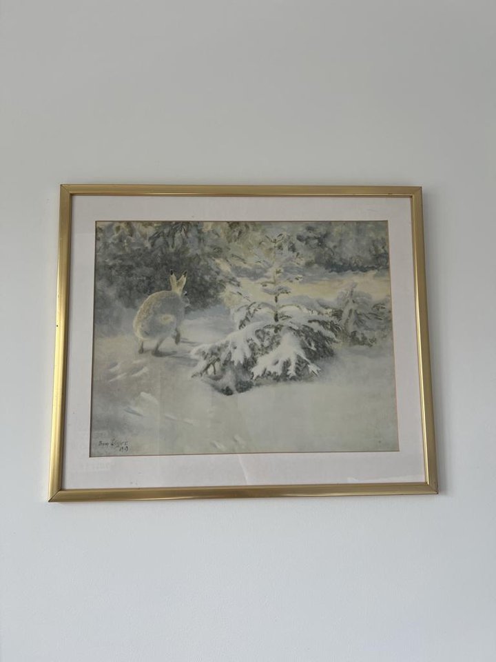 Bruno Liljefors hare poster