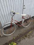 fin enkel cykel 