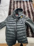 Parajumper - Nolan Hybrid Hooded Jacket Green Gables 