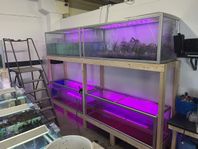 Akvarium 600l x3 + 375l x1