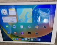 Äple Ipad 12,9 stor kärm.