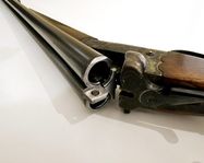 Aya 207