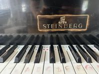 Steinberg flygel
