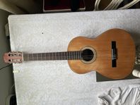 Akustisk Gitarr