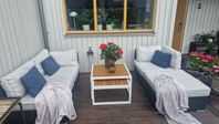 Soffgrupp svart konstrotting