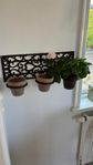 Vägghylla för t.ex. blommor eller kryddväxter