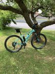 Mountinbaike Bianchi 29"