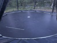 Jättefin studsmatta/ trampolin från Trampolinspecialisten