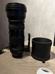 Canon EF Sigma 150-600mm F5-6.3 DG DN OS SPORt + konverter