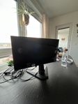 gaming skärm