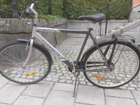 Le Donte, Yosemite Herrcykel