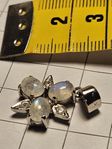 Silverhängen blandade sorter