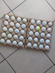 Golfbollar 4 kr. St.