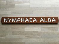 Namnskylt