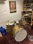 Ludwig Buddy Rich Signature 1979