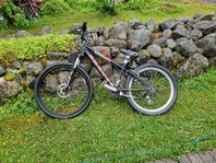 Mountainbike Focus