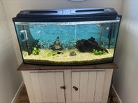 Akvarium