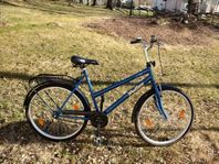 cykel och rullgrill