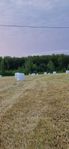 Hösilage 