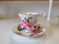 Kaffekoppar Royal Albert "Prairie Rose"
