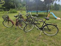 Cyklar 