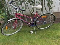 DBS Damcykel