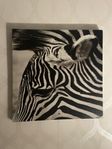 Zebra tavla i canvas samt träram