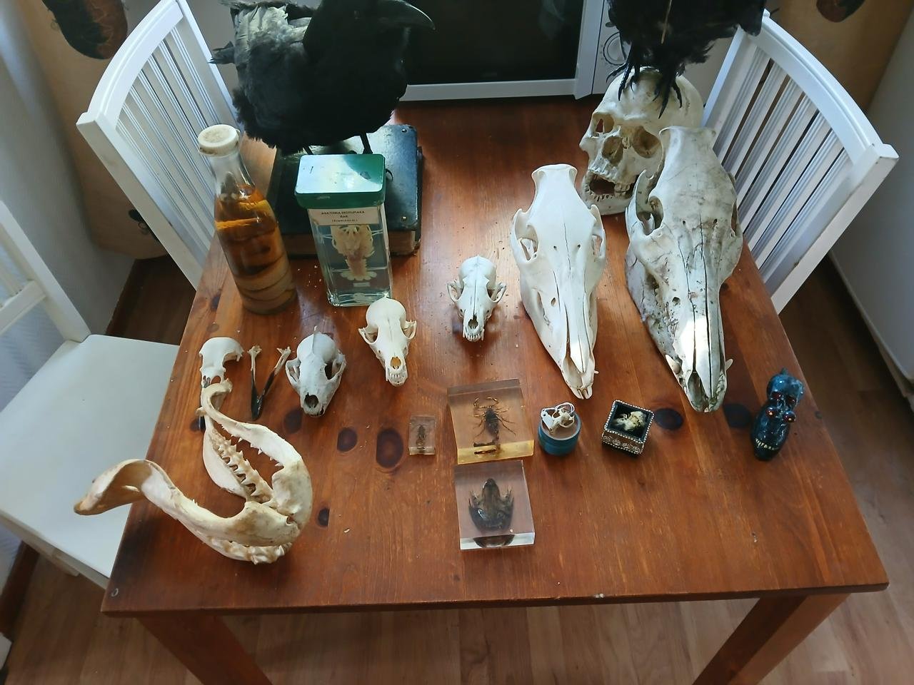 samling med creepy prylar