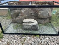 terrariums 