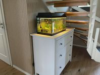 komplett akvarium med tillbehör 