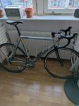 Radon viper 6.0 Cykel
