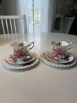 kaffekoppar 2 set Royal Albert
