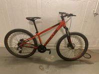 Cykel för ungdomar (mountain bike)