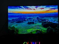 LG OLED C4 55