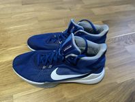 Nike Zoom Basketskor