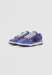 Nike dunk lows