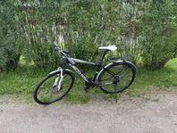 Scott Cykel herr