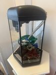 20l- 6-kantigt akvarium