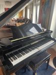 Flygel C. Bechstein