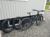 Surly Wednesday