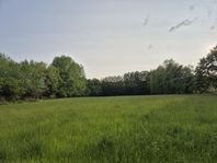 Sommarbete