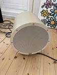  Anthony Gallo TR-1 subwoofer. 