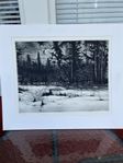 Curt Hamne, “Spårsnö”, etsning 45/360