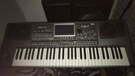 Korg pa900