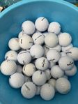 100st Florida bollar 