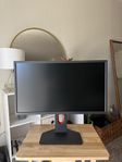 Benq Zowie 240hz skärm