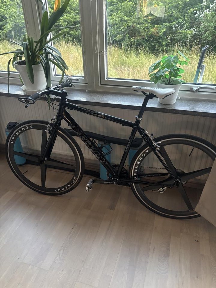 nishiki ram stl M & trainer