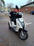 promenadscooter?